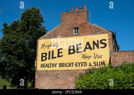 Bile Beans sign on side of house in York, Yorkshire Stock Photo