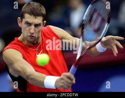 Max Mirnyi, Overview, ATP Tour