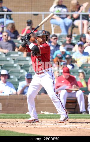 SCOTTSDALE, AZ - MARCH 12: Arizona Diamondbacks DH Kyle Lewis bats during  the spring training game against the Colorado Rockies on March 12, 2023, at  Salt River Field in Scottsdale, Arizona. (Photo