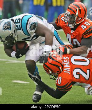 10 September 2007: Cincinnati Bengals Landon Johnson (59) against the  Baltimore Ravens in their NFL football game at Paul Brown Stadium in  Cincinnati, Ohio. (Icon Sportswire via AP Images Stock Photo - Alamy