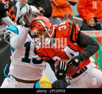 Cincinnati Bengals safety Kevin Kaesviharn (34) sacks Oakland Raiders  quarterback Aaron Brooks (2) at Paul Brown Stadium in Cincinnati on  December 10, 2006. The Bengals defeated the Raiders 27-10. (UPI Photo/Mark  Cowan Stock Photo - Alamy