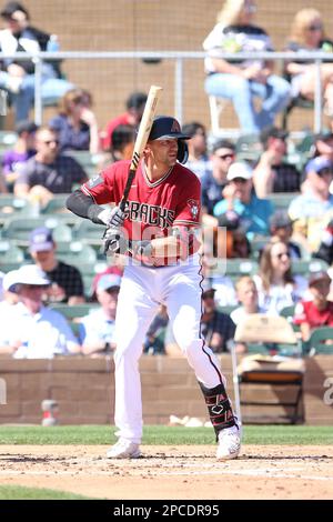 SCOTTSDALE, AZ - MARCH 23: Arizona Diamondbacks Outfield Kyle Lewis (1)  celebrates his two-run home run during a spring training game between the  Arizona Diamondbacks and Los Angeles Dodgers on March 23, 2023, at Salt  River Fields at Talking