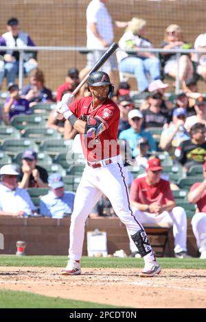 SCOTTSDALE, AZ - MARCH 23: Arizona Diamondbacks Outfield Kyle Lewis (1)  celebrates his two-run home run during a spring training game between the  Arizona Diamondbacks and Los Angeles Dodgers on March 23