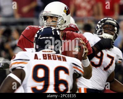 Chicago Bears defensive linemen Alex Brown (96) and Mark Anderson