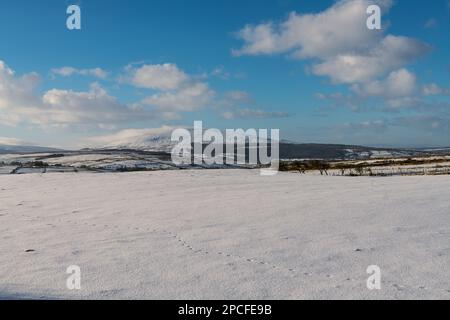 Animal tracks across a snowy field below snow-covered hills in County Antrim, Northern Ireland Stock Photo