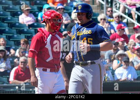 MILWAUKEE, WI - JUNE 08: Milwaukee Brewers catcher William Contreras (24)  bats during an MLB game against the Baltimore Orioles on June 08, 2023 at  American Family Field in Milwaukee, Wisconsin. (Photo by Joe Robbins/Icon  Sportswire) (Icon