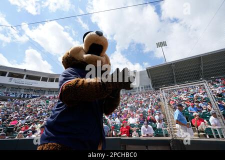 T.C., the Minnesota Twins mascot, encourages the crowd before a