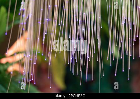 Close-up view of the colorful LED stripes Stock Photo