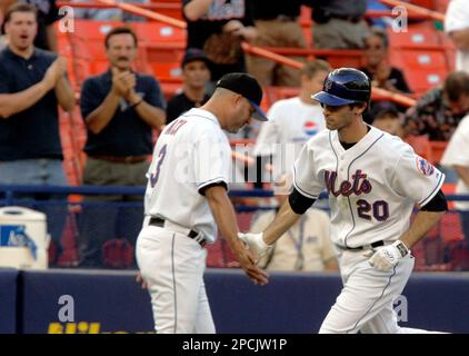 After Baseball, Shawn Green Is Still in a Flow State