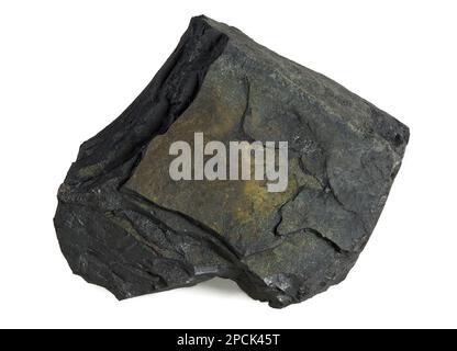 Cannel Coal is a type of oil shale and bituminous coal. AKA: Candle Coal, Boghead Coal and Torbanite. Stock Photo