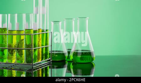 Algae fuel biofuel industry lab researching for alternative to fossil algae fuel or algal biofuel. Stock Photo