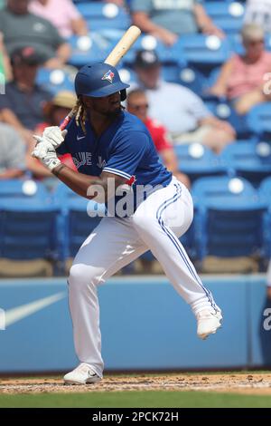 DUNEDIN, FL - FEBRUARY 26: Toronto Blue Jays Center fielder Kevin Kiermaier  (39) at bat during the spring training game between the New York Yankees  and the Toronto Blue Jays on February