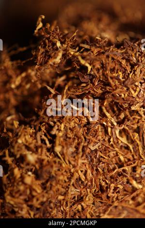 Rolling tobacco close up background big size high quality stock photos smoking self made cigarettes and joints Stock Photo