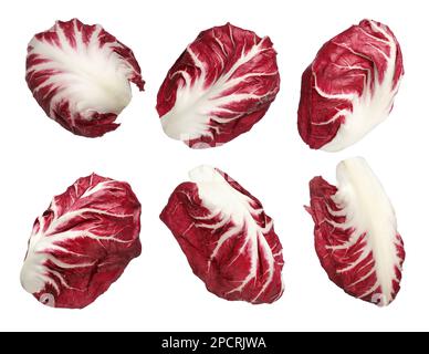 Set with fresh ripe radicchio leaves on white background Stock Photo