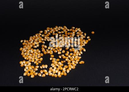 Corn grains for making popcorn on a black background. Stock Photo