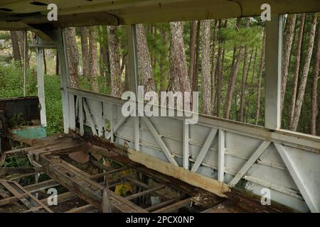 An abandoned bus in a forest in Sagada, Philippines Stock Photo - Alamy