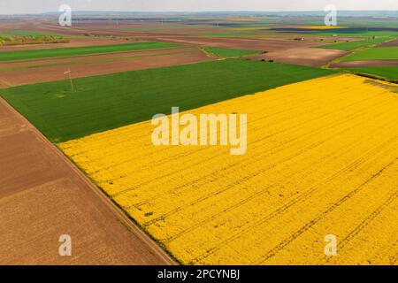 Aerial shot of beautiful cultivated landscape with rapeseed, wheat and corn crop fields, drone pov Stock Photo