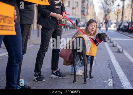 Barcelona, Barcelona, Spain. 14th Mar, 2023. Animal and nature protection entities protest in front of the Department of Climate Action, Food and Rural Agenda. The protest takes place after the proposal to modify the Animal Protection Law of Catalonia, which negatively affects hunting dogs, has been voted. (Credit Image: © Marc Asensio Clupes/ZUMA Press Wire) EDITORIAL USAGE ONLY! Not for Commercial USAGE! Credit: ZUMA Press, Inc./Alamy Live News Stock Photo