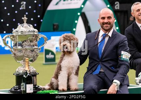 Javier Gonzalez Menicote from Croatia with Lagotto Romangnolo Orca Best In Show Winner,owned by Sabina Zdunić Šinković and Ante Lucin during Crufts - The World's Greatest Dog Show National Exhibition Centre Birmingham Sunday March 12 2023photo by Chris wynne Stock Photo