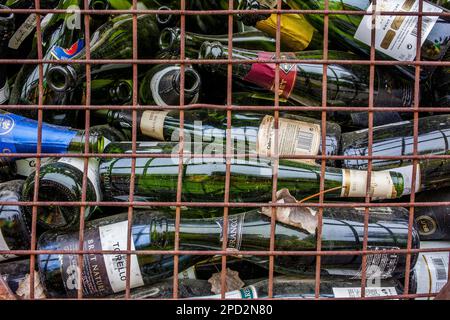 Bottles of champagne storage to recycle, recycling center Stock Photo