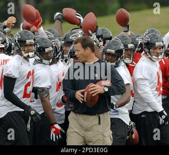 Atlanta Falcons players have a team huddle as they call a time out