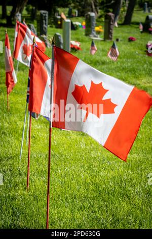 Flags of Canada decorating grave markers of Canadian servicemen and women on Memorial Day in the United States Stock Photo