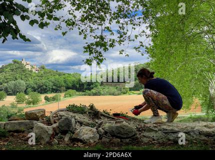 Gardener in the South of France near Alès - Alès, Occitanie region, France, Europe Stock Photo