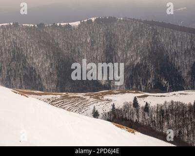 A beautiful winter landscape with high trees and snow-capped ground in Azuga, Romania Stock Photo