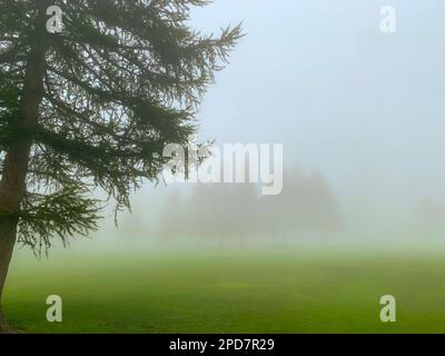 Crans Sur Sierre Golf Course with Fog and Trees in Crans Montana in Valais, Switzerland. Stock Photo