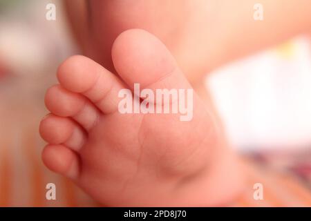 A close-up shot of a baby's feet resting on a striped tablecloth Stock Photo