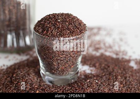 Pagon Rice Poongar rice. Indigenous rice from Tamilnadu, the southern state of ...