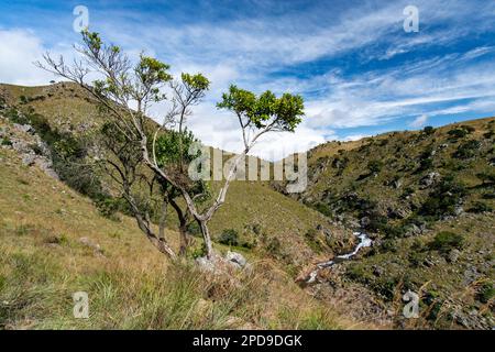 mountainous landscape of the Malolotja Nature Reserve in Swaziland (Eswatini) Stock Photo