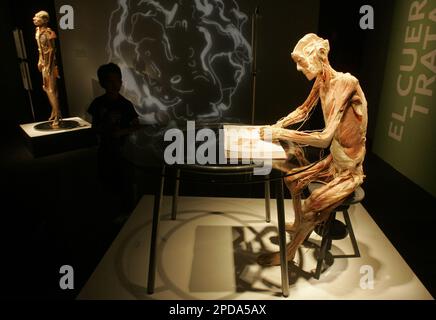 A visitor observes a fetus during the exhibit Body Worlds in Mexico City,  Friday. March 10, 2006. The cadavers in Body Worlds were donated to  science and preserved through plastination, a process