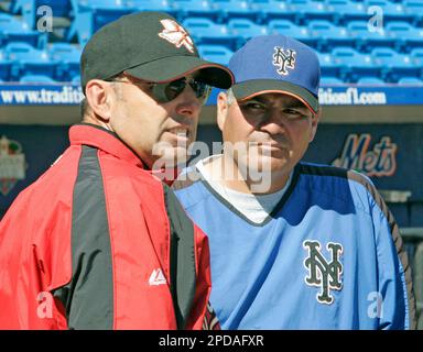 Gary Gaetti of the St. Louis Cardinals during Spring Training at