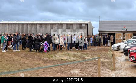 Chipping Norton, UK - March 12, 2023: Crowds of visitors queuing at  Diddly Squat Farm Shop opened in 2020 by Jeremy Clarkson. Stock Photo