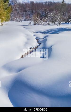 Tiny stream and fresh snow along Munising Ski Trails at Pictured Rocks National Lakeshore, Munising, Upper Peninsula, Michigan, USA Stock Photo