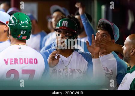 MAZATLAN, MEXICO - JANUARY 31: Alexis Wilson catcher of Tomateros de  Culiacan , during the game between Mexico and Colombia as part of Serie del  Caribe 2021 at Teodoro Mariscal Stadium on