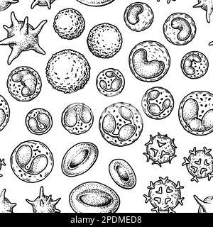 Blood cells seamless pattern. Hand drawn erythrocytes, leukocytes and platelet. Scientific biology illustration in sketch style Stock Vector