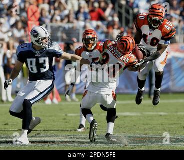 Oakland Raiders quarterback Aaron Brooks (2) passes against the Cincinnati  Bengals at Paul Brown Stadium in Cincinnati on December 10, 2006. The  Bengals defeated the Raiders 27-10. (UPI Photo/Mark Cowan Stock Photo -  Alamy