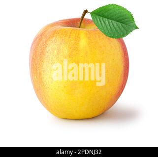 red yellow apple  isolated on white background Stock Photo