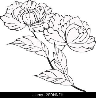 Gentle floral background from flower branches and buds, flower arrangement. Hand drawing. For stylized decor, invitations, cards, posters, Stock Vector