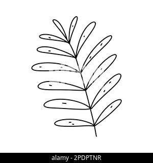 Floral element in hand drawn doodle style. Ecology or natural element. Vector illustration isolated on white background Stock Vector