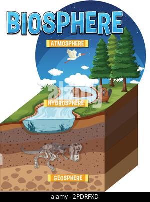 Biosphere Ecology Infographic for Learning illustration Stock Vector
