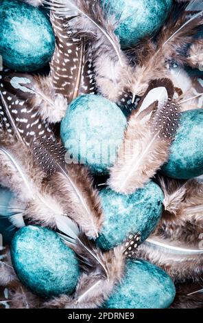 Easter blue eggs with colorful bird feathers on blue background, top view Stock Photo