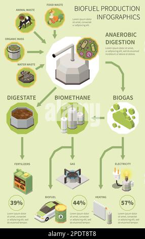 Biofuel infographics poster with production process from organic waste collection and anaerobic digestion to biogas fertilizer electricity vector illu Stock Vector