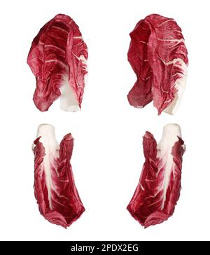 Set with fresh ripe radicchio leaves on white background Stock Photo
