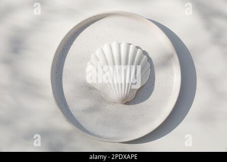 Closeup of jacobean scallop shell on ceramic plate in sunlight, long shadows. White table background. Summer dinner, marine concept. No people Stock Photo