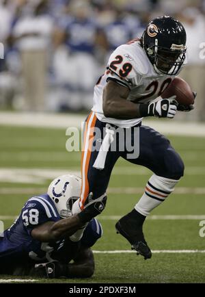 Chicago Bears running back Adrian Peterson (29) runs for a gain of five  yards during the first quarter against the New Orleans Saints at Soldier  Field in Chicago on December 30, 2007. (