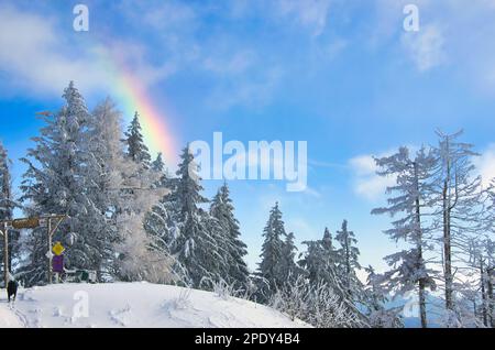 Amazing scenery in Romania, Carpathian Mountains with rainbow behind the evergreen forest Stock Photo