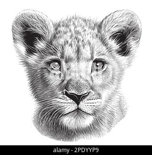 10166 Big Lion Sketch Images Stock Photos  Vectors  Shutterstock